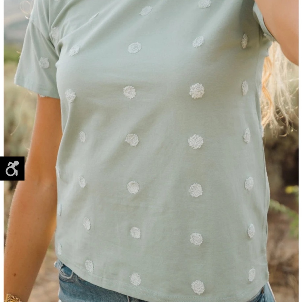 Never worn Aliette Polka dot top in the color Sage